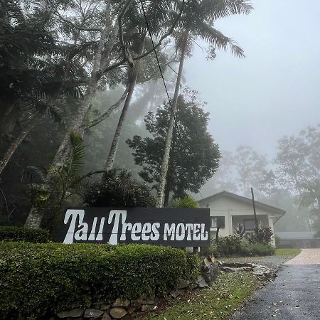 Tall Trees Motel Mountain Retreat Mount Tamborine Exteriör bild