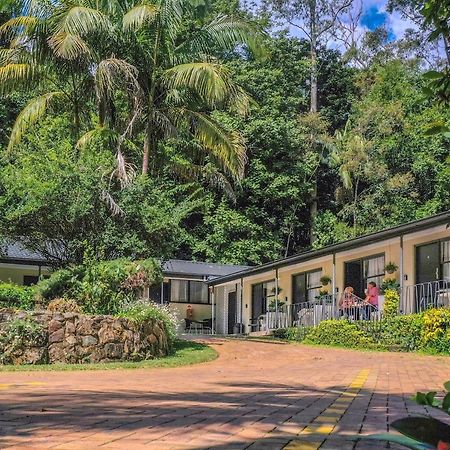 Tall Trees Motel Mountain Retreat Mount Tamborine Exteriör bild