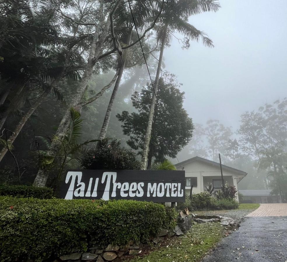 Tall Trees Motel Mountain Retreat Mount Tamborine Exteriör bild