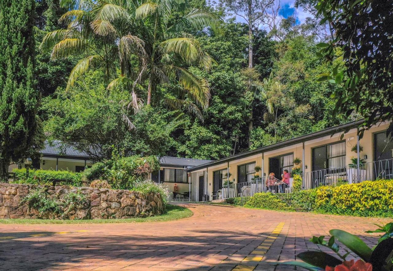 Tall Trees Motel Mountain Retreat Mount Tamborine Exteriör bild