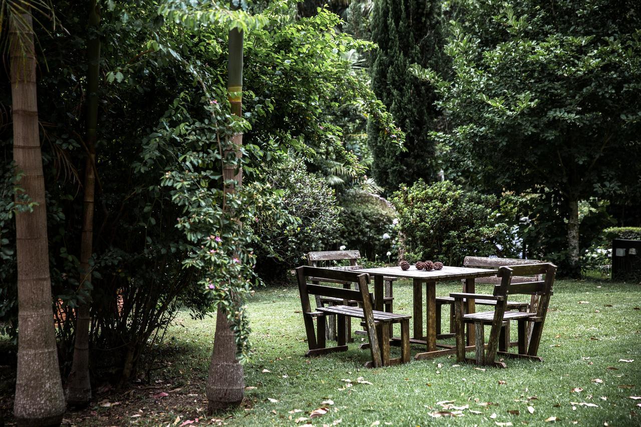 Tall Trees Motel Mountain Retreat Mount Tamborine Exteriör bild